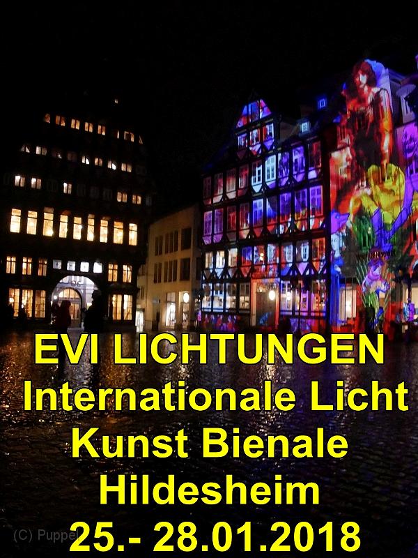 2018/20180125 Hildesheim EVI LICHTUNGEN/index.html